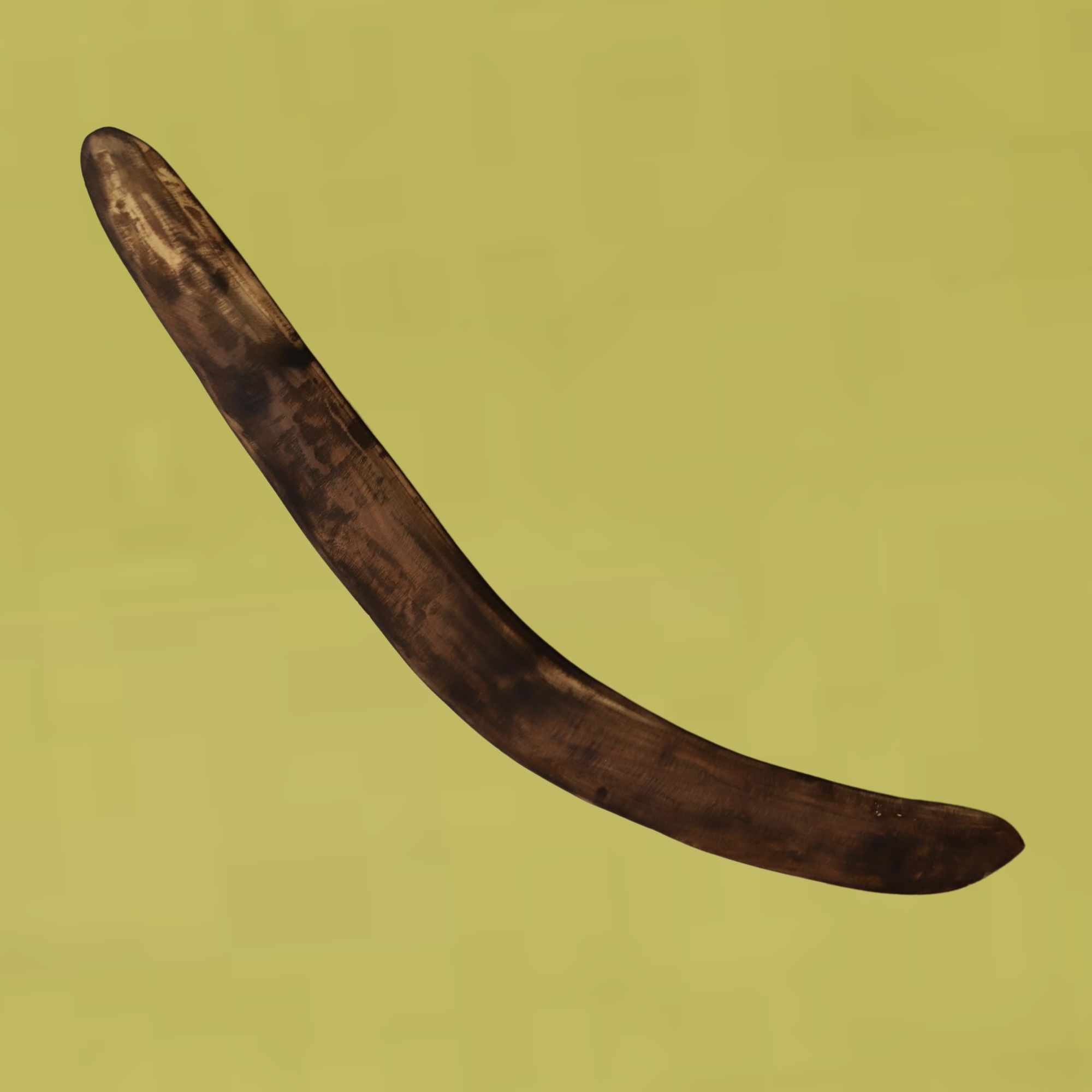 Boomerang by Francis Fernandez (591-22)