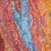 258-24 - <i>Wilkinkarra</i> - DULCIE  NANALA