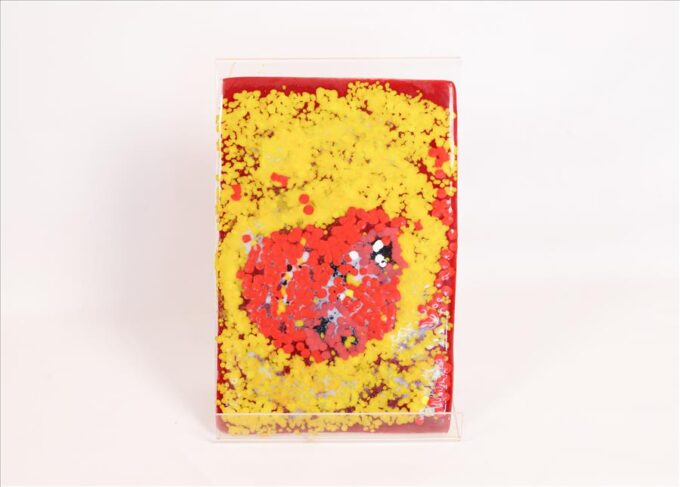307-25 - <i>Untitled</i> - EUBENA  NAMPITJIN (DEC)